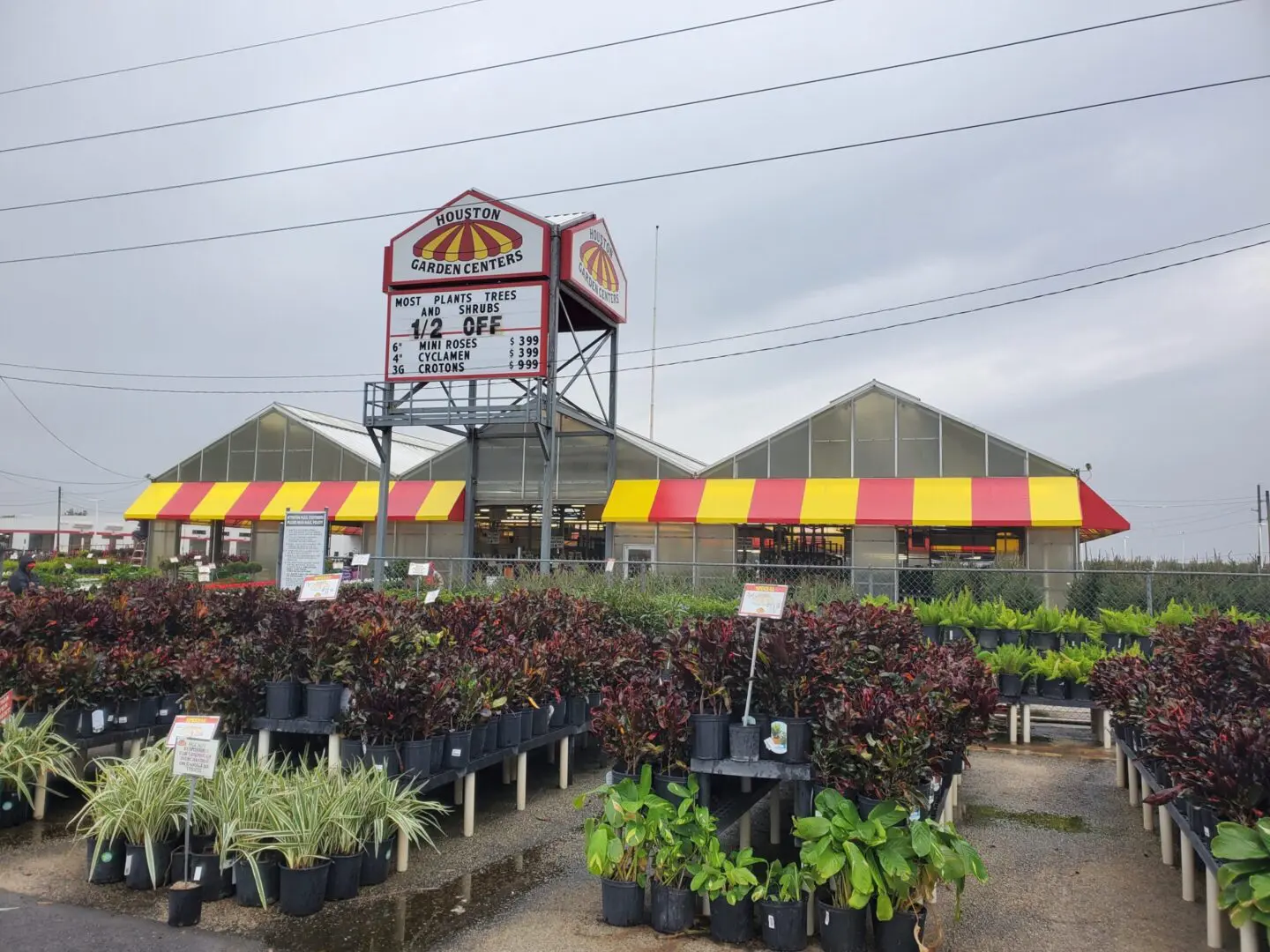 Outdoor garden center with plants and a colorful tent under cloudy sky.